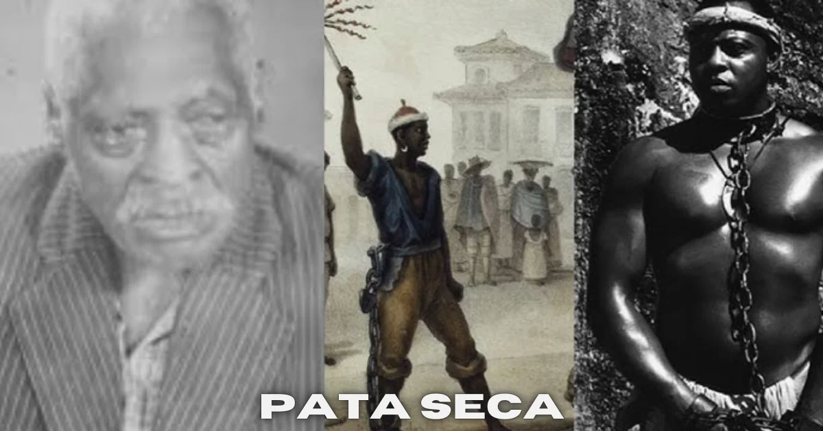 pata seca