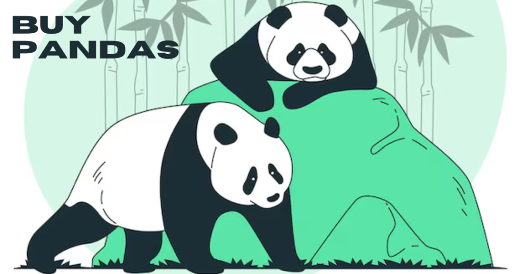 buy pandas